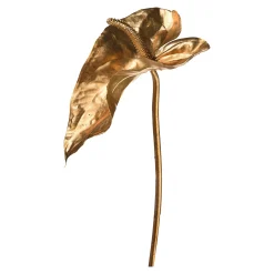 Anthurium Ca. 80Cm, Silber^Depot Outlet