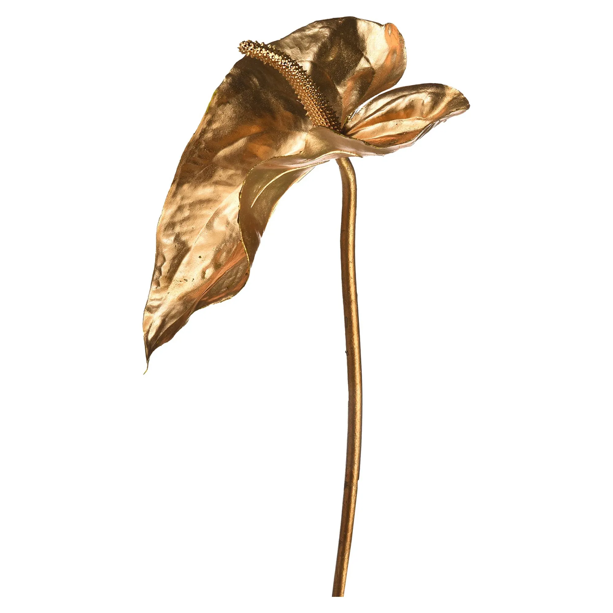 Anthurium Ca. 80Cm, Silber^Depot Outlet