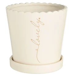 Blumentopf Mit Untersetzer^Depot Discount