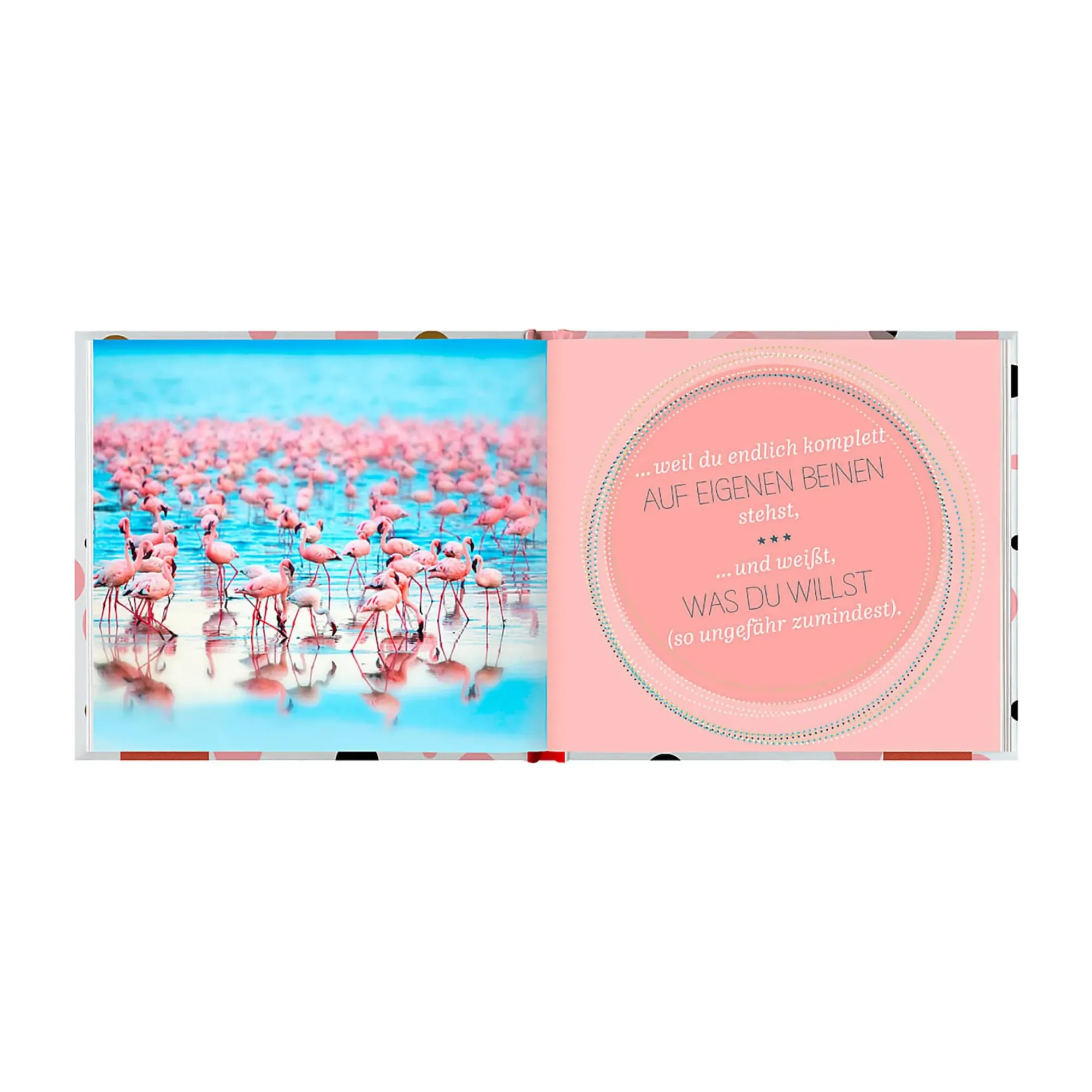 Discount Depot Buch 30 Ist Einfach Fabelhaft