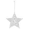 Deko-Anhänger Weihnachtsstern^Depot Shop