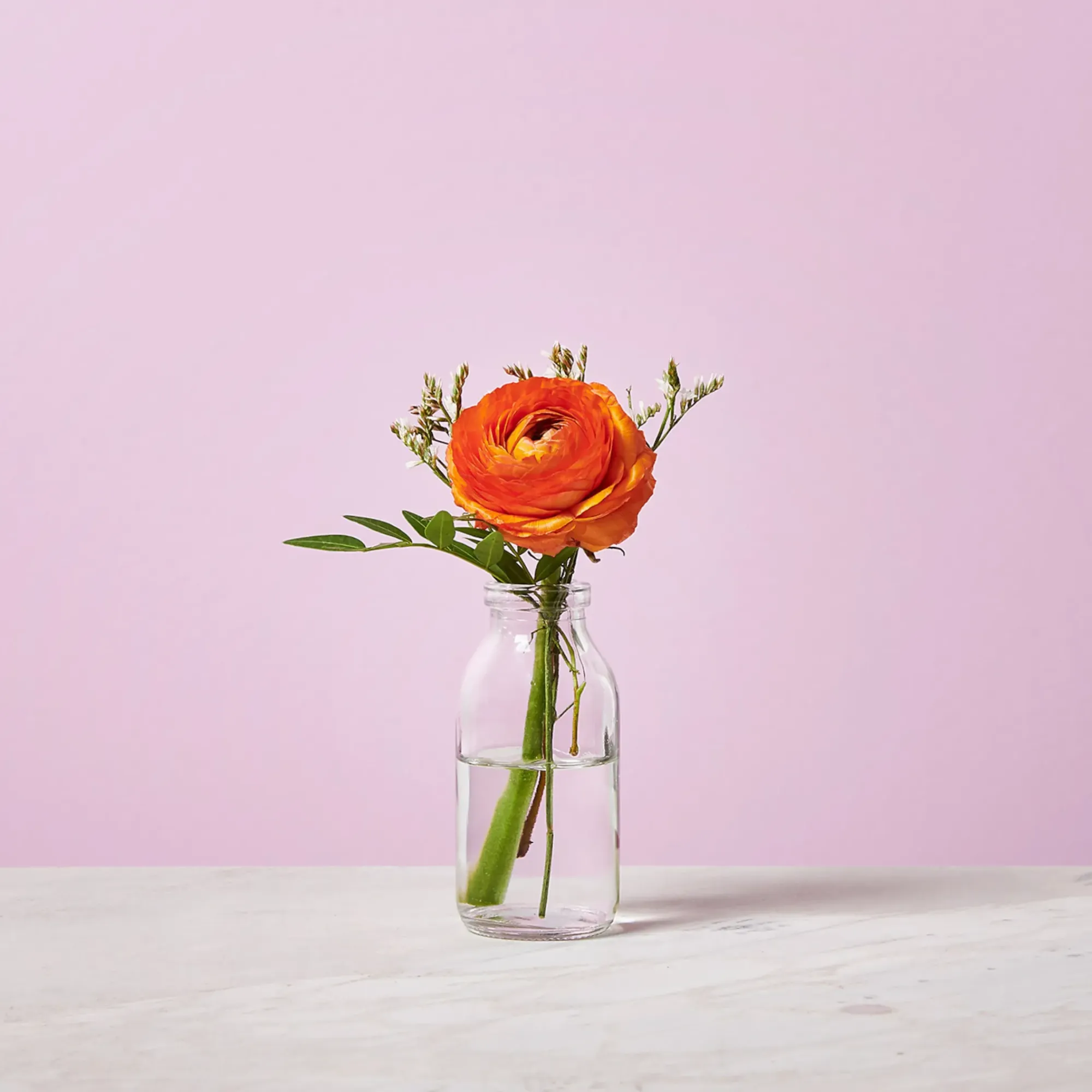 Sale Depot Flaschenvase Bernice