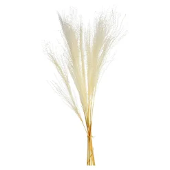 Glitzer-Trockenblumen-Bundel Miscanthus^Depot Store