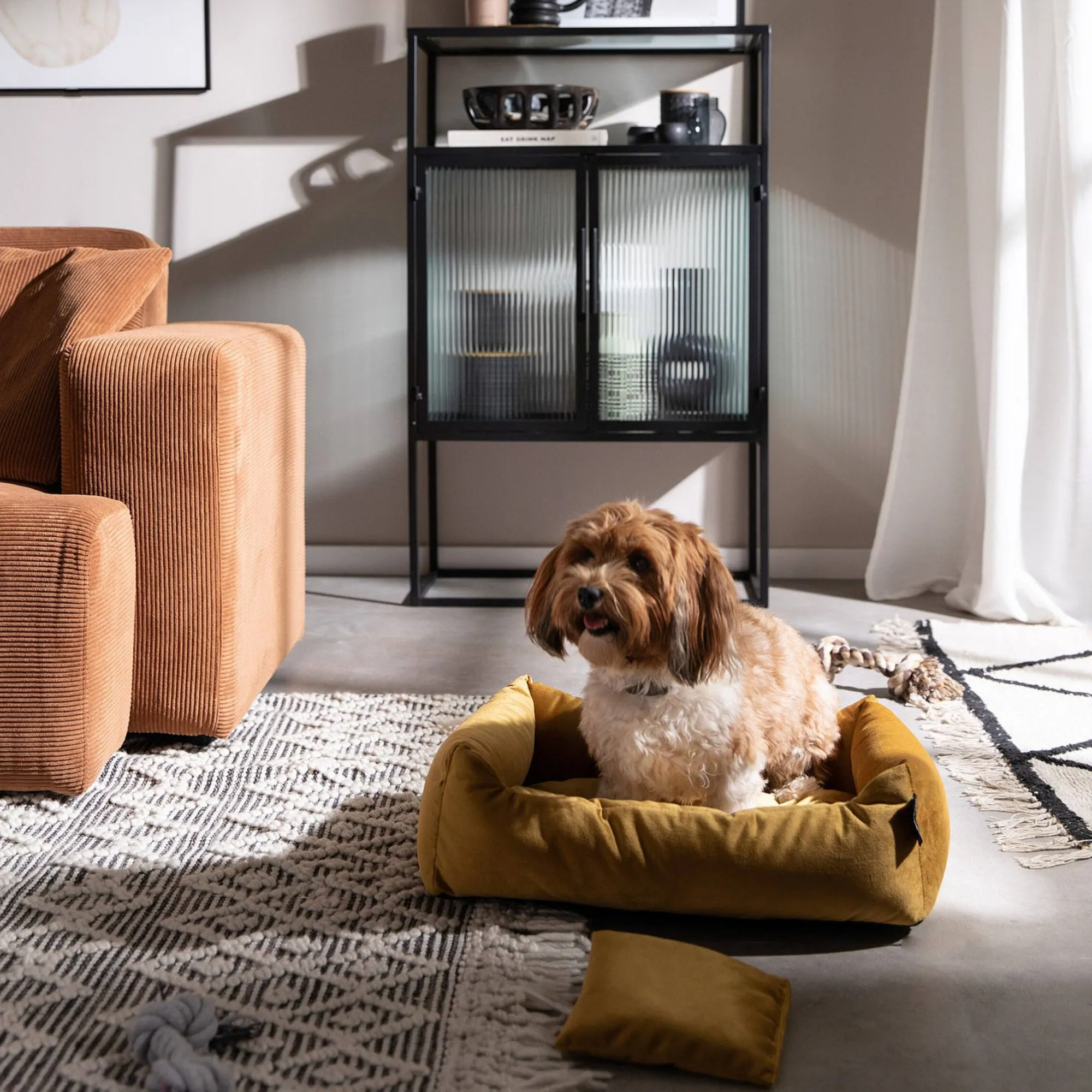 Haustier-Samt-Kuschelsofa Velvet^Depot Hot
