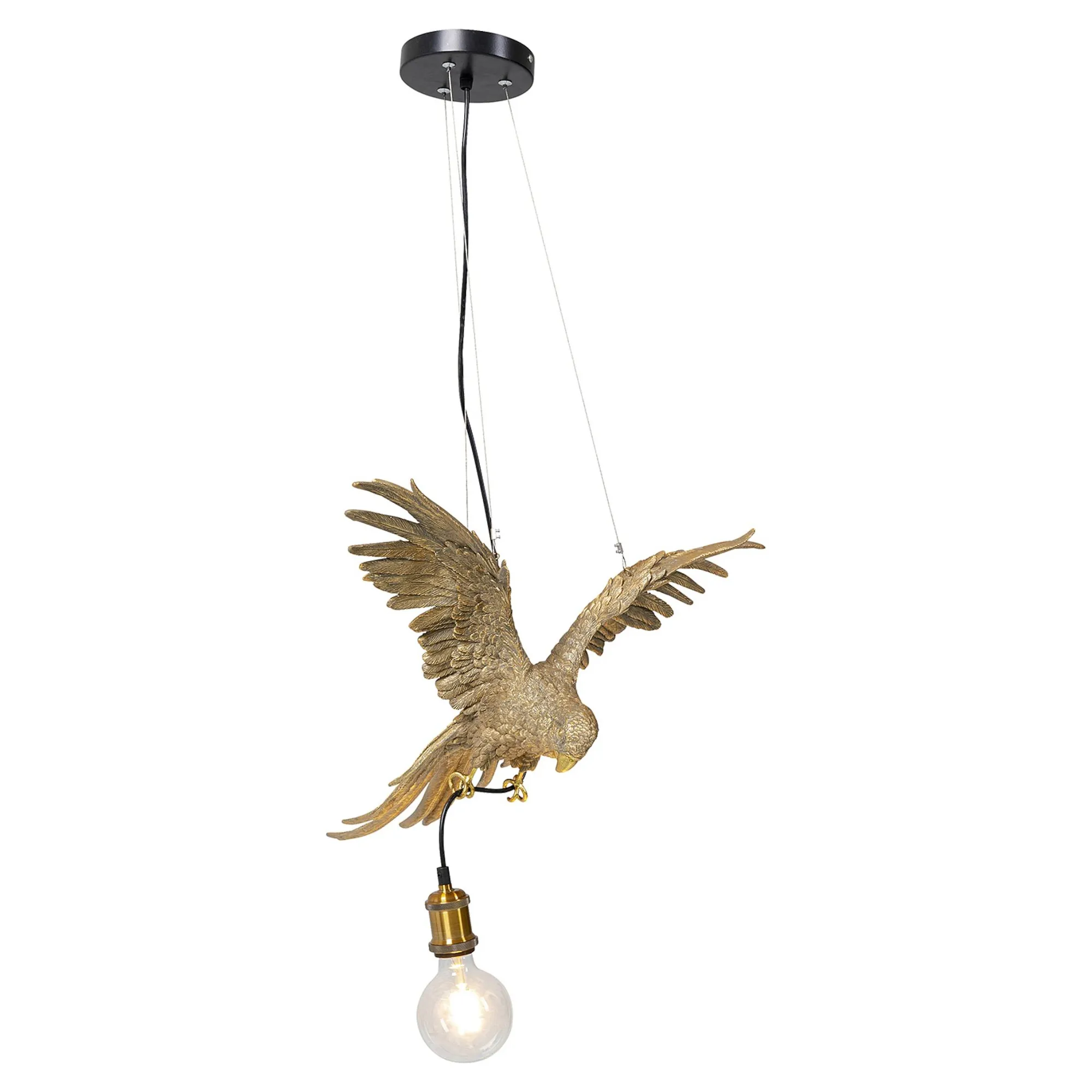 Kare Hangeleuchte Parrot^Depot Sale