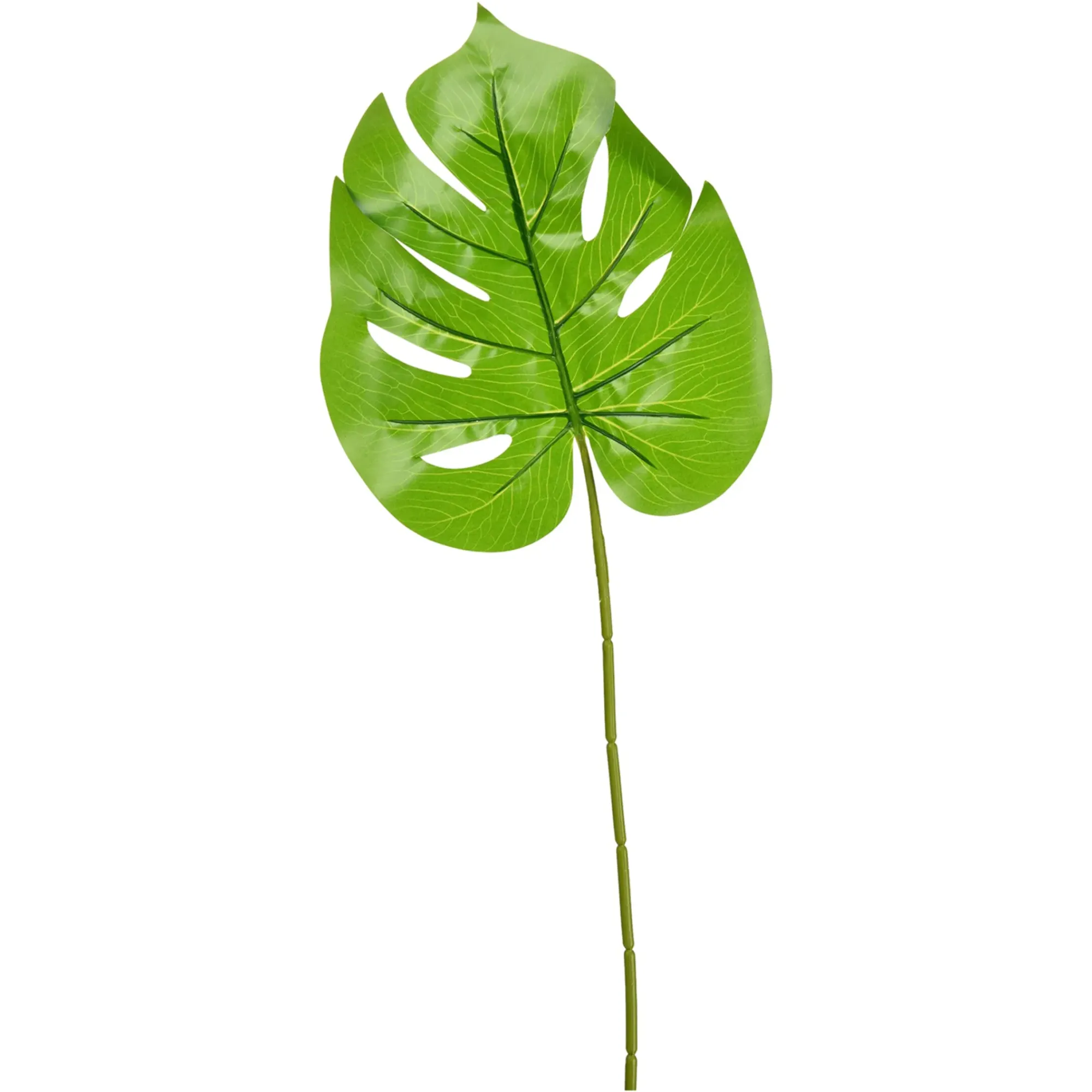 Best Sale Depot Kunstblatt Monstera