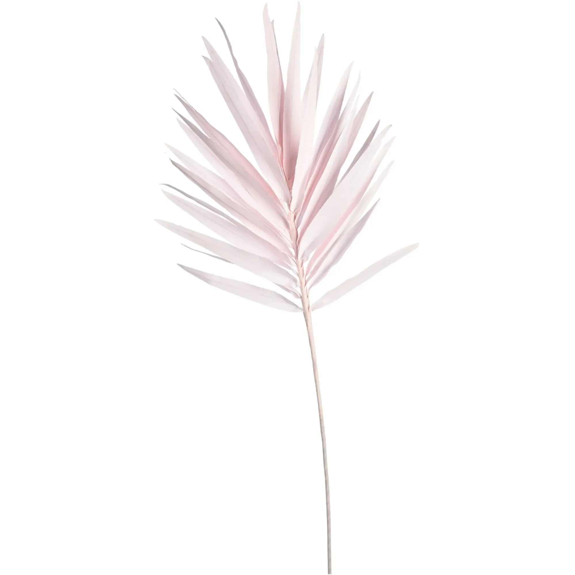 Discount Depot Kunstblatt Palme