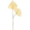 Cheap Depot Kunstblatt Palm Leaf