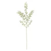 Kunstblume Mini Ruscus Ca. 50Cm^Depot Flash Sale