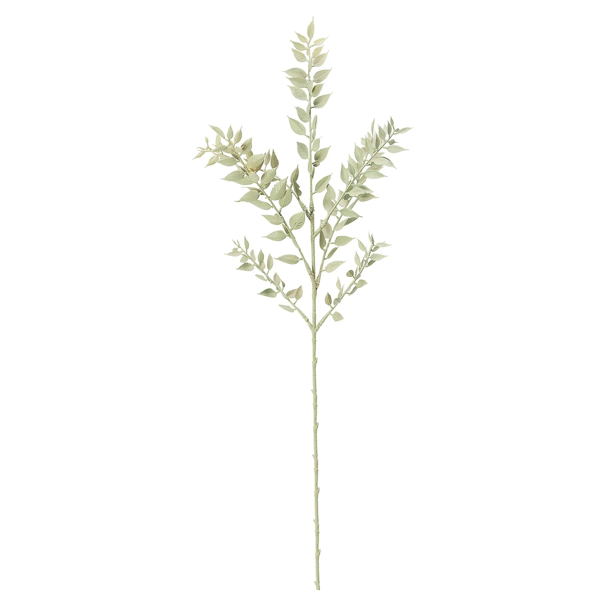 Kunstblume Mini Ruscus Ca. 50Cm^Depot Flash Sale