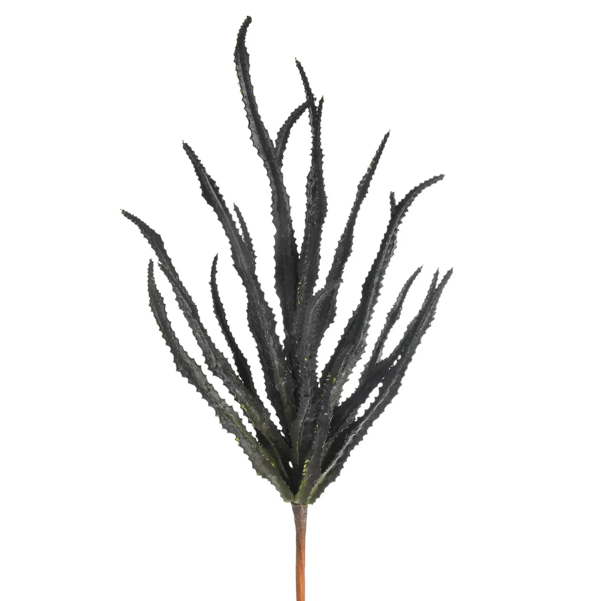 Discount Depot Kunst-Blumenpick Sukkulente