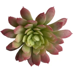 Clearance Depot Kunst-Blumenpick Sukkulente