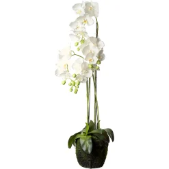New Depot Kunstblume Orchidee Phalaenopsis In Erde