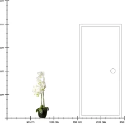 New Depot Kunstblume Orchidee Phalaenopsis In Erde