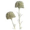 Kunstblume Scabosia^Depot Hot