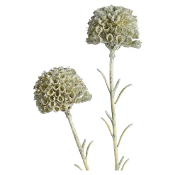 Kunstblume Scabosia^Depot Hot