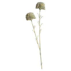 Kunstblume Scabosia^Depot Hot