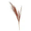 Kunst-Pampasgras^Depot Fashion