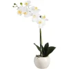 Discount Depot Kunstpflanze Orchidee Phalaenopsis