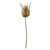 Kunst-Stielblume Distel^Depot Cheap