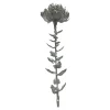 Kunst-Stielblume Protea Ca. 67Cm^Depot Hot