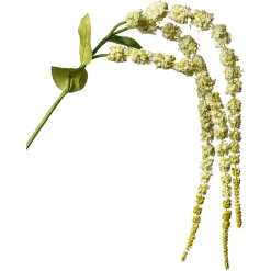 Best Sale Depot Kunstzweig Amaranthus