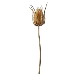 Kunst-Zweig Distel^Depot Flash Sale