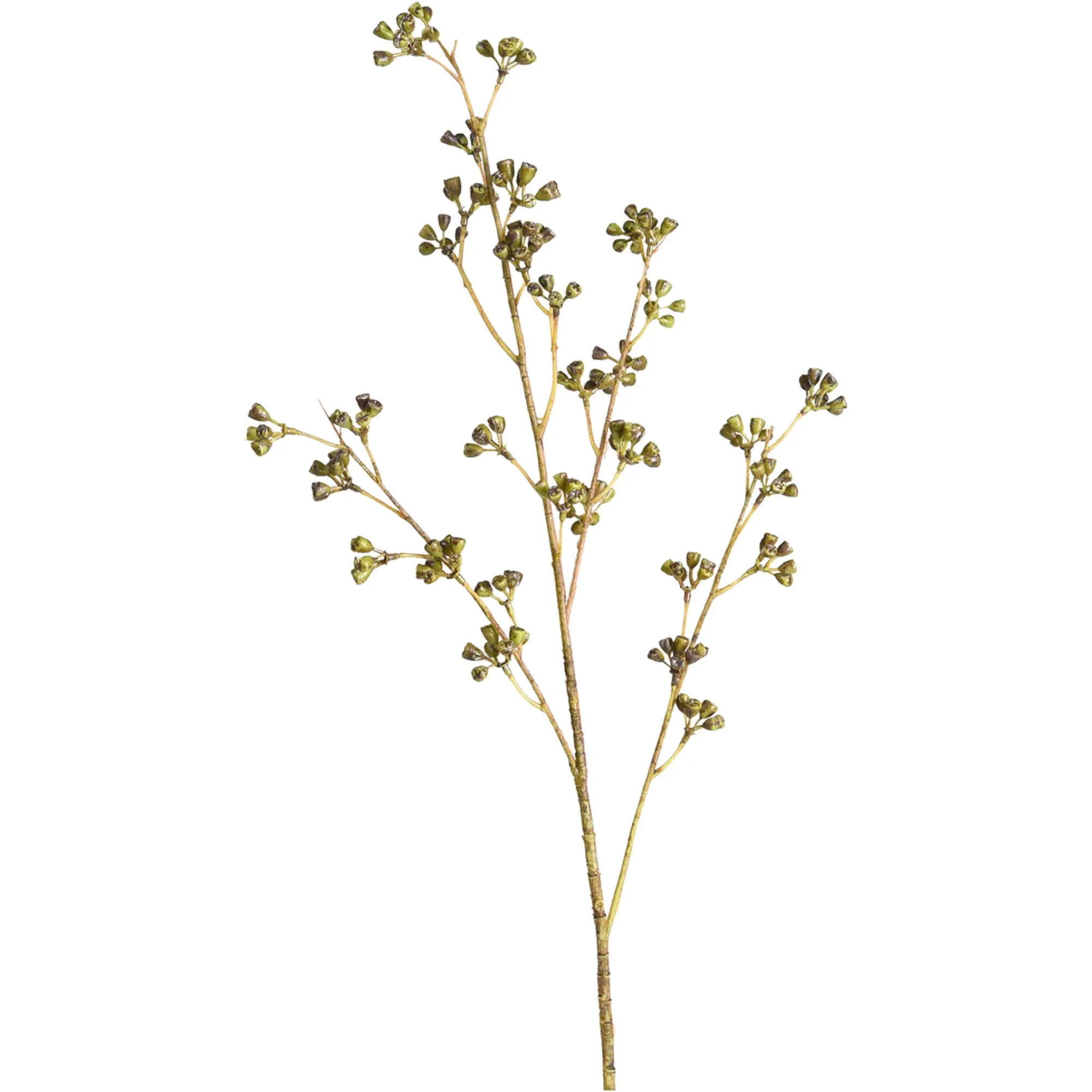 Sale Depot Kunstzweig Eukalyptus-Knospe
