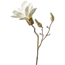Discount Depot Kunst-Zweig Magnolie