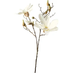 Best Depot Kunst-Zweig Magnolie