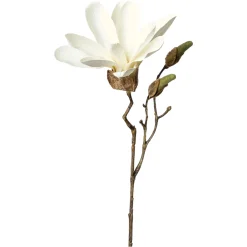 Hot Depot Kunst-Zweig Magnolie