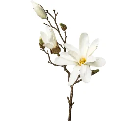Cheap Depot Kunst-Zweig Magnolie