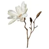 Kunst-Zweig Magnolie^Depot Clearance