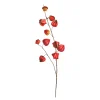 Kunstzweig Physalis^Depot Store