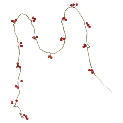 Led-Lichterkette Berries^Depot Best