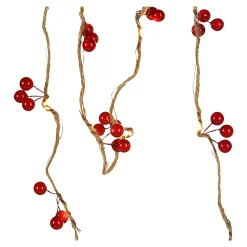 Led-Lichterkette Berries^Depot Best