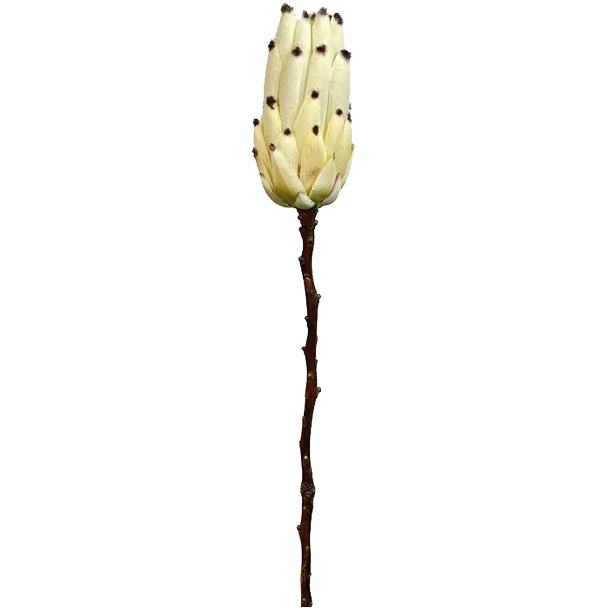 Flash Sale Depot Metallic-Kunstblume Protea
