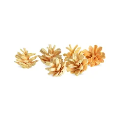 Mini-Deko-Kiefernzapfen^Depot Sale
