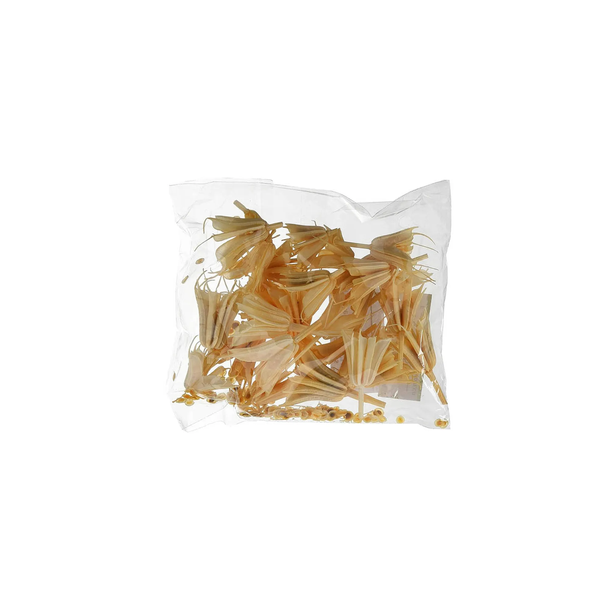 Natur-Streuartikel Lampenblute^Depot Discount