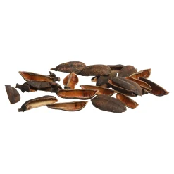 Natur-Streuartikel Seedpod^Depot Cheap