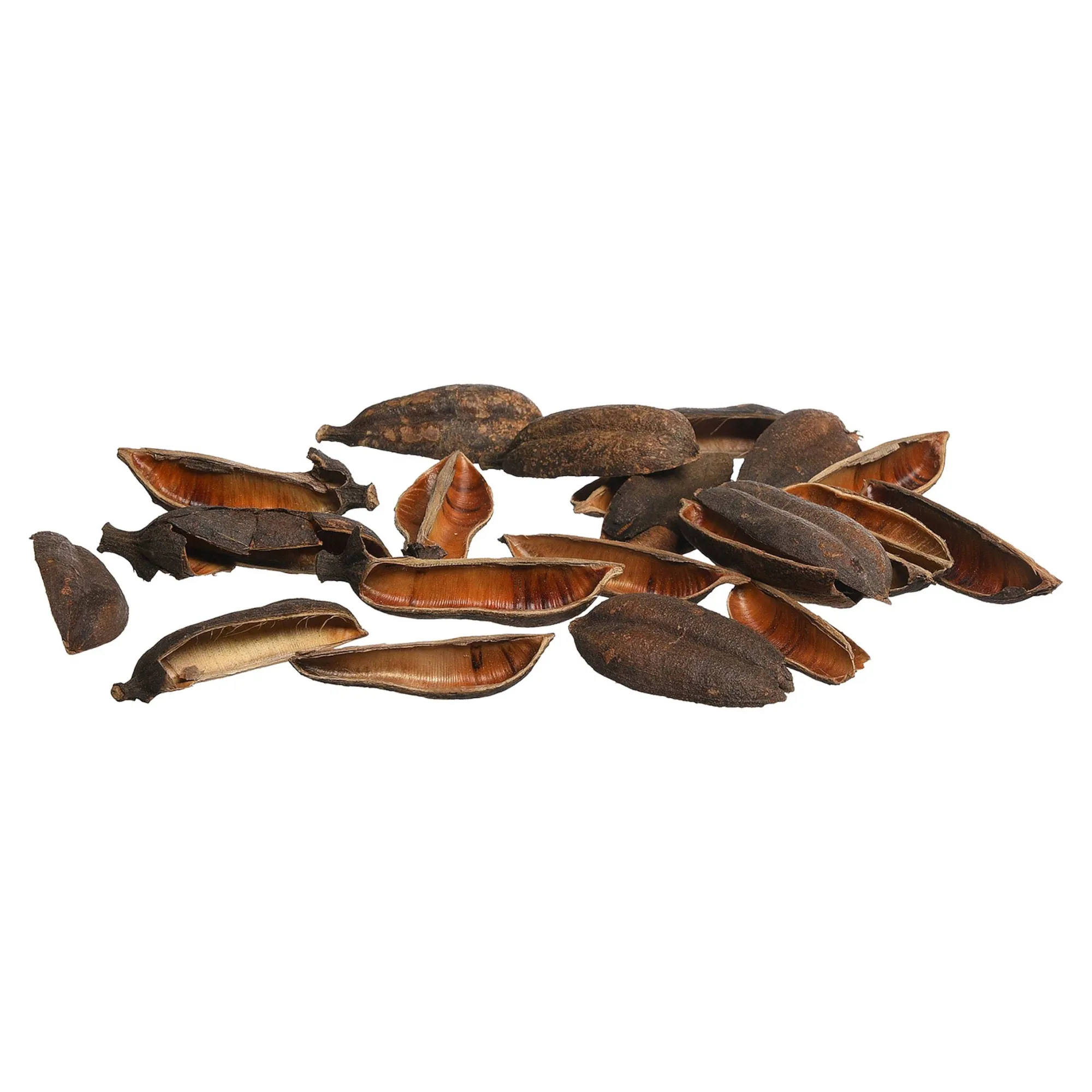 Natur-Streuartikel Seedpod^Depot Cheap