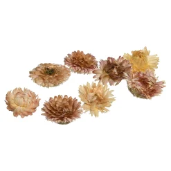 Natur-Streuartikel Strohblumen^Depot Best