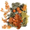 Cheap Depot Potpourri Rustic