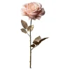 Rose Ca. 66Cm^Depot Flash Sale
