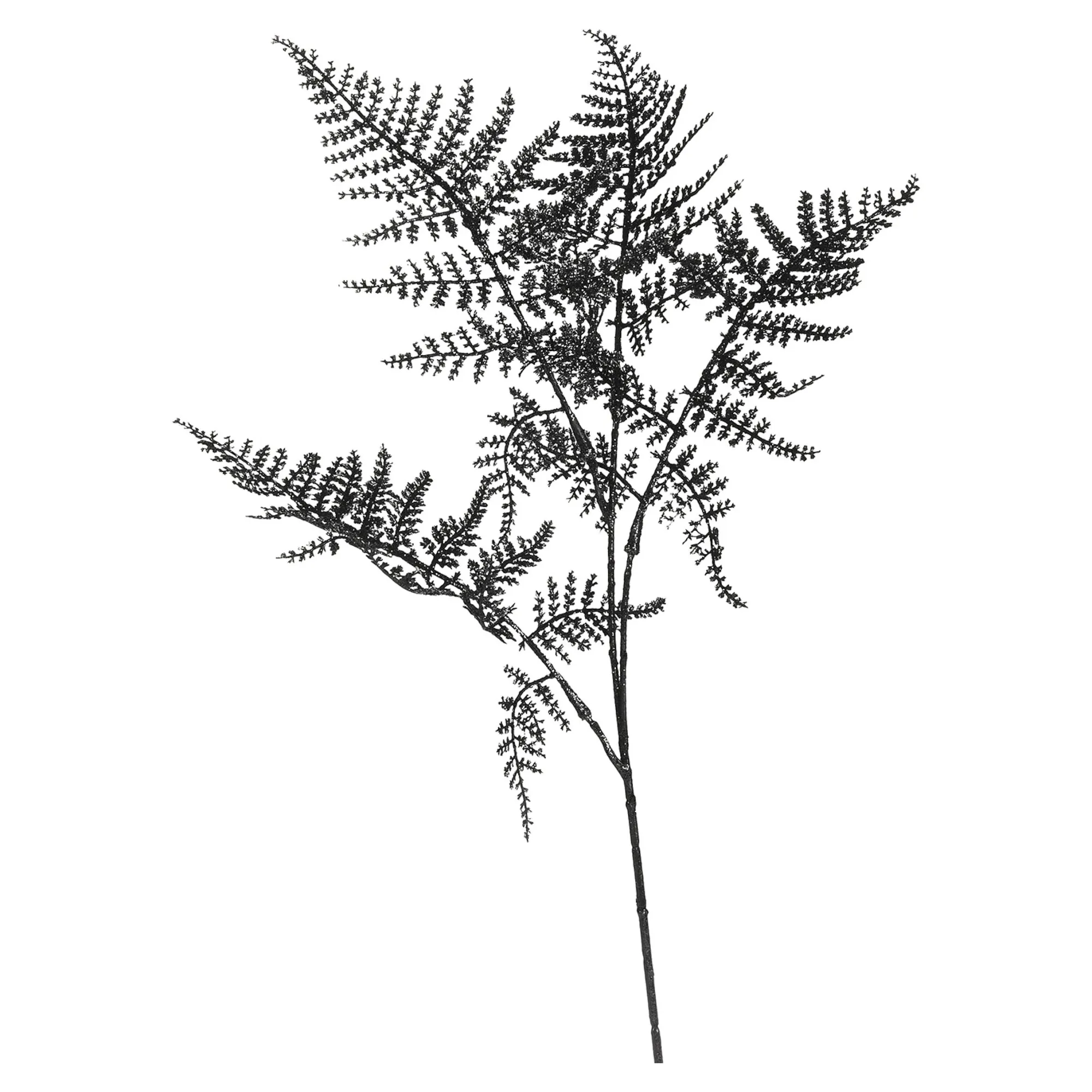Stielblume Farn Glam Ca. 58Cm^Depot Online