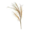 Stielblume Pampas Glam Ca. 110^Depot New