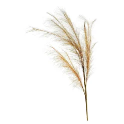 Stielblume Pampas Glam Ca. 110^Depot New