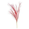 Stielblume Pampas Glam Ca. 110^Depot Hot