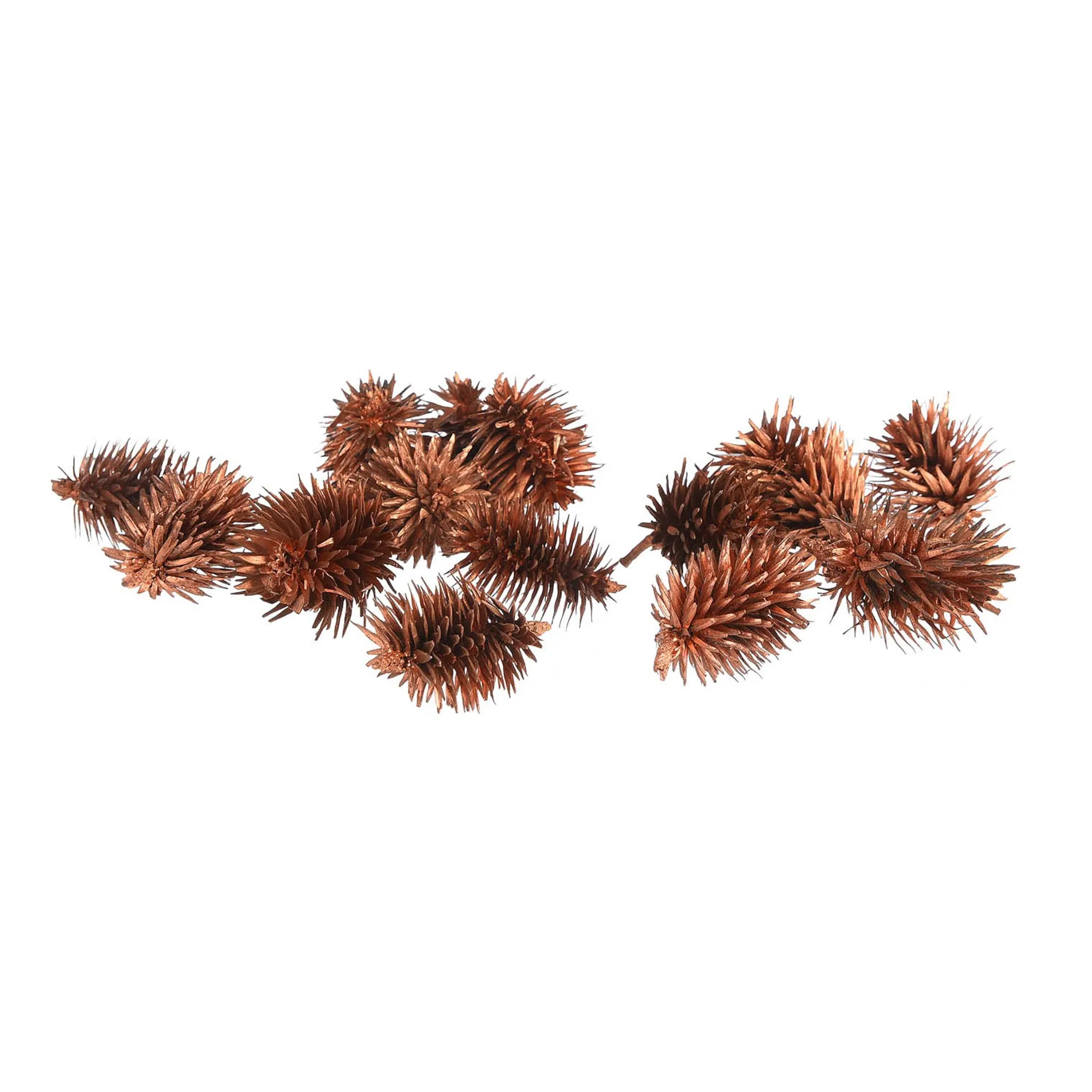 Streuartikel Trockenfrucht^Depot Outlet