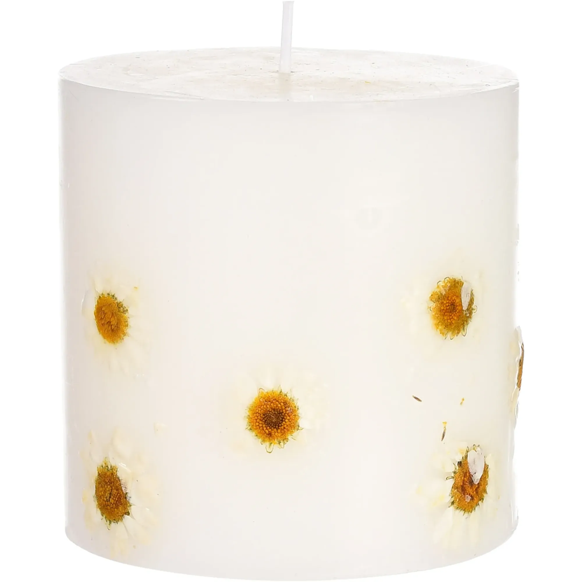 Hot Depot Stumpenkerze Trockenblume